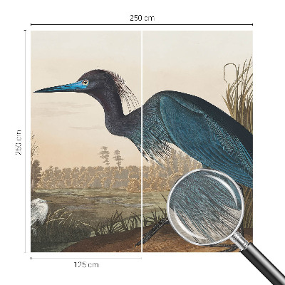 Fototapetas pagal užsakymą Vandfugle