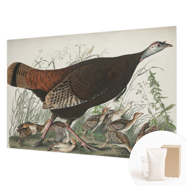 Fototapetas svetainei Natūrali harmonika