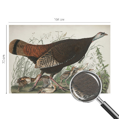 Fototapetas svetainei Natūrali harmonika