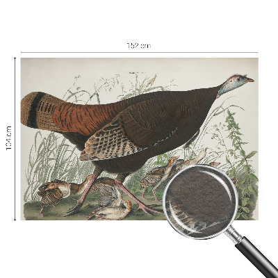 Fototapetas svetainei Natūrali harmonika