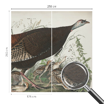 Fototapetas svetainei Natūrali harmonika