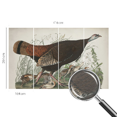 Fototapetas svetainei Natūrali harmonika