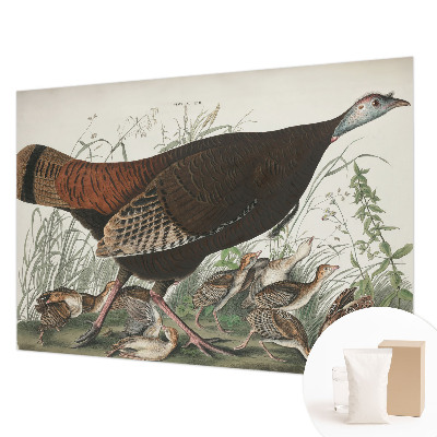 Fototapetas svetainei Natūrali harmonika