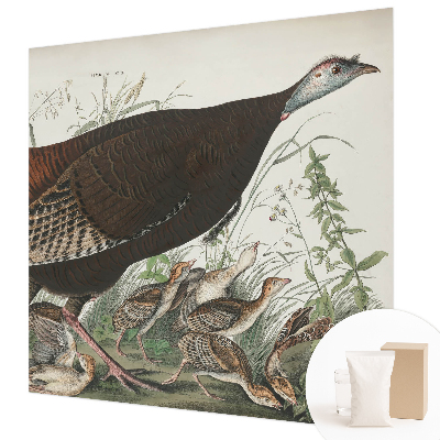 Fototapetas svetainei Natūrali harmonika