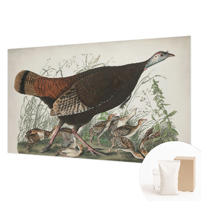 Fototapetas svetainei Natūrali harmonika