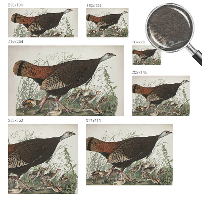 Fototapetas svetainei Natūrali harmonika