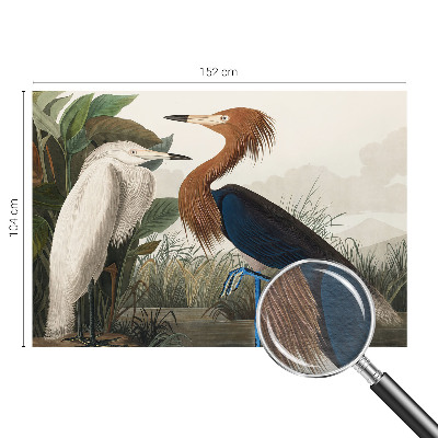 Aukštos kokybės fototapetas Fugle i sodintuvas