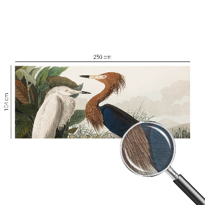 Aukštos kokybės fototapetas Fugle i sodintuvas