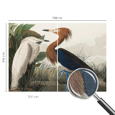 Aukštos kokybės fototapetas Fugle i sodintuvas