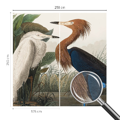 Aukštos kokybės fototapetas Fugle i sodintuvas