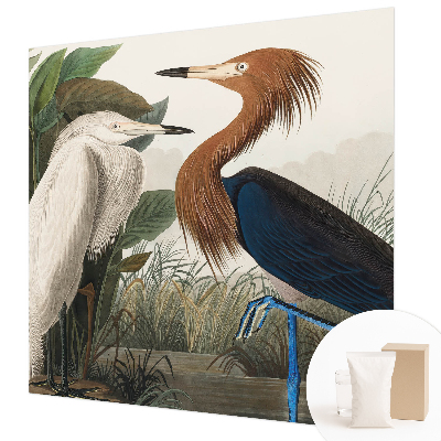 Aukštos kokybės fototapetas Fugle i sodintuvas