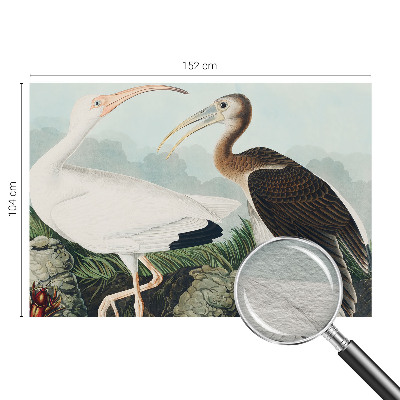 Modernus fototapetas Fugleparas