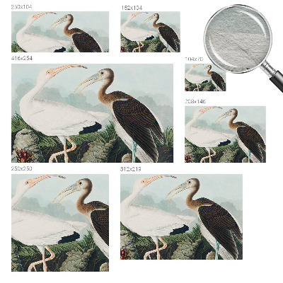 Modernus fototapetas Fugleparas