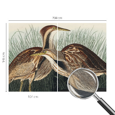 Dekoratyvinis fototapetas Realistiška pūga