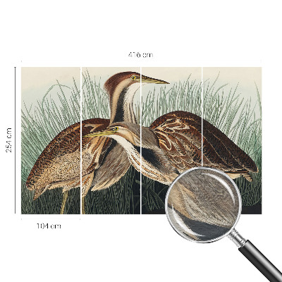 Dekoratyvinis fototapetas Realistiška pūga