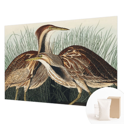 Dekoratyvinis fototapetas Realistiška pūga