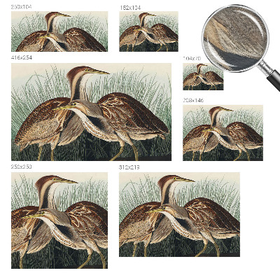 Dekoratyvinis fototapetas Realistiška pūga