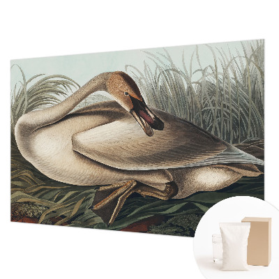 Stilingas fototapetas Natūralus paukštis