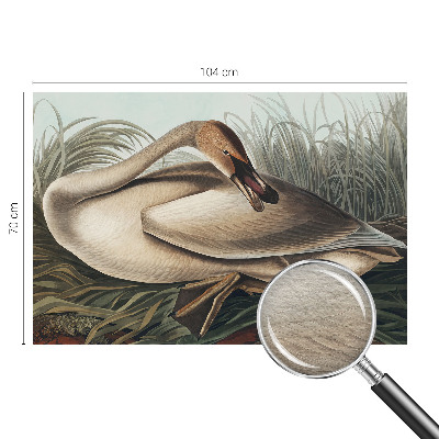 Stilingas fototapetas Natūralus paukštis