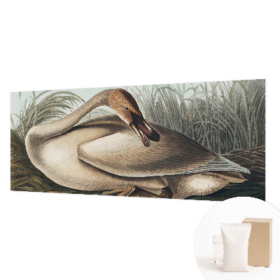 Stilingas fototapetas Natūralus paukštis