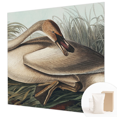 Stilingas fototapetas Natūralus paukštis