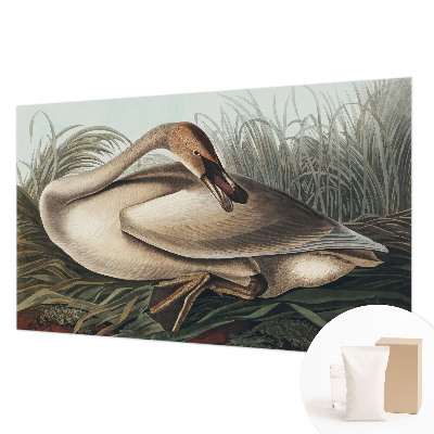 Stilingas fototapetas Natūralus paukštis