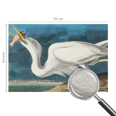 Fototapetas pagal matmenis Fugl med fisk