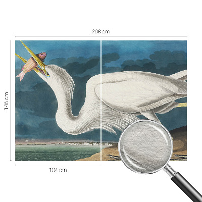 Fototapetas pagal matmenis Fugl med fisk