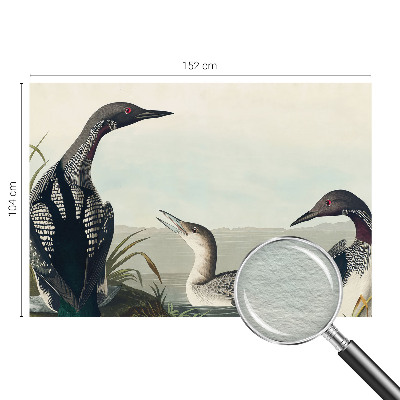 Fototapetas Fugle virš vandeto