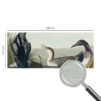 Fototapetas Fugle virš vandeto