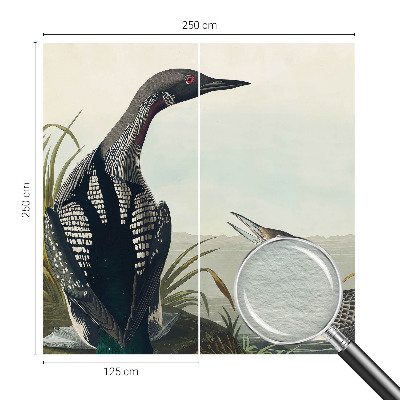 Fototapetas Fugle virš vandeto