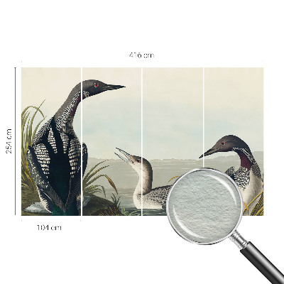 Fototapetas Fugle virš vandeto