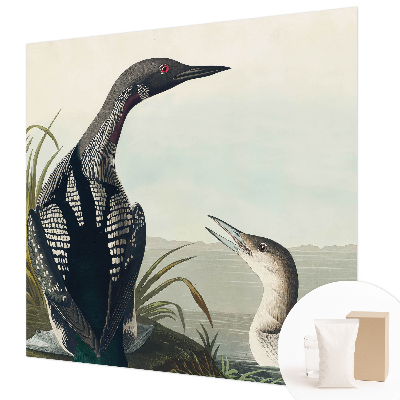 Fototapetas Fugle virš vandeto