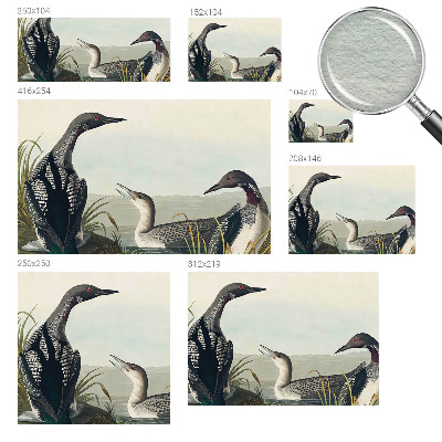 Fototapetas Fugle virš vandeto