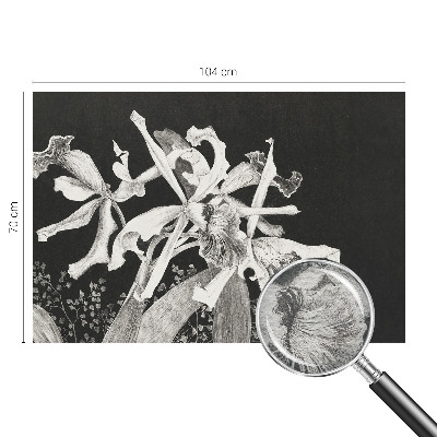 Tapetas orkide iliustracija