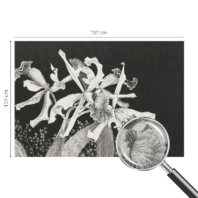 Tapetas orkide iliustracija