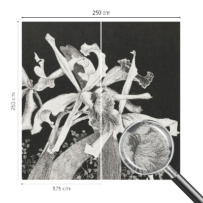 Tapetas orkide iliustracija