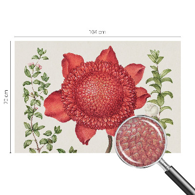 Modernus fototapetas Blomsteragtig elegancija