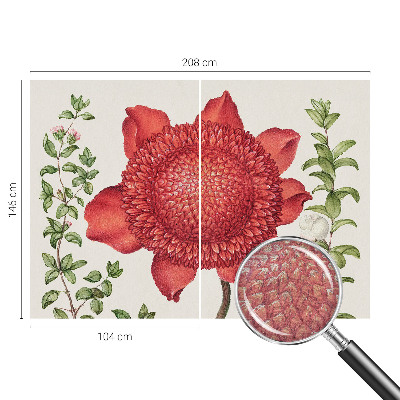 Modernus fototapetas Blomsteragtig elegancija