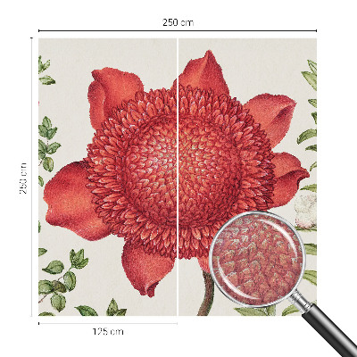 Modernus fototapetas Blomsteragtig elegancija