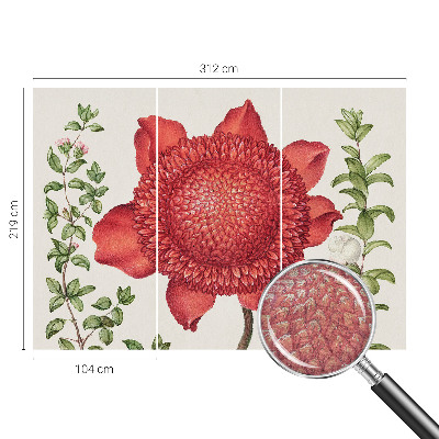 Modernus fototapetas Blomsteragtig elegancija