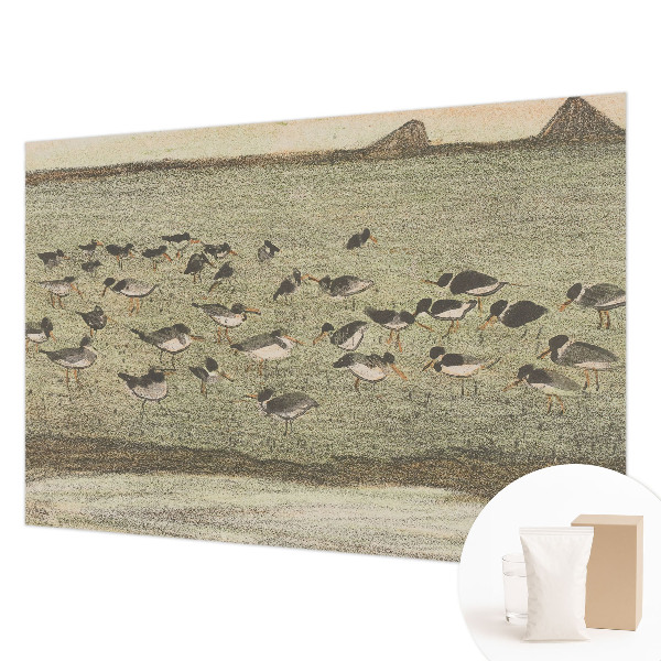 Aukštos kokybės fototapetas Fuglensas Fredas