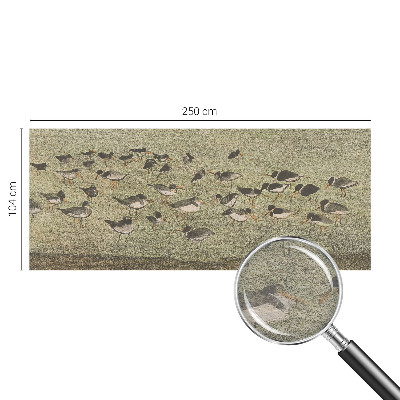 Aukštos kokybės fototapetas Fuglensas Fredas