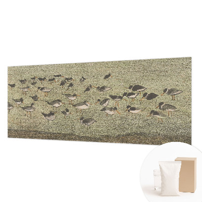 Aukštos kokybės fototapetas Fuglensas Fredas