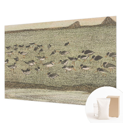 Aukštos kokybės fototapetas Fuglensas Fredas