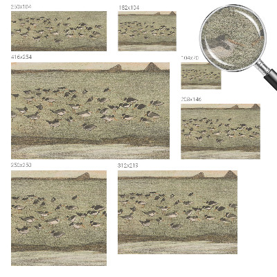 Aukštos kokybės fototapetas Fuglensas Fredas