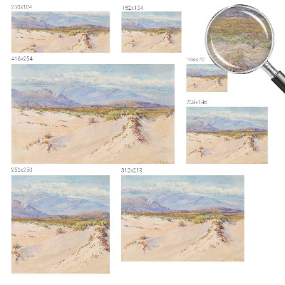 Fototapetas su dykumos peizažu