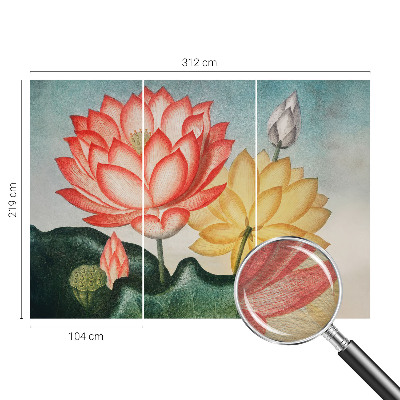Flizelininis fototapetas su Lotusbloomster motyvu