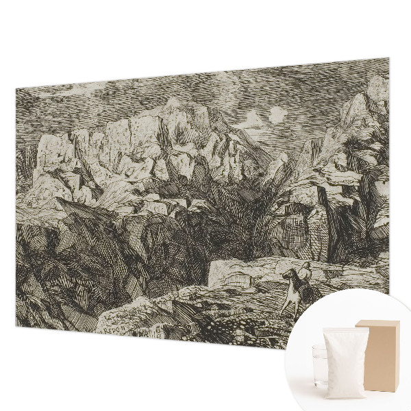 Dekoratyvinis fototapetas Bjerglandskabas