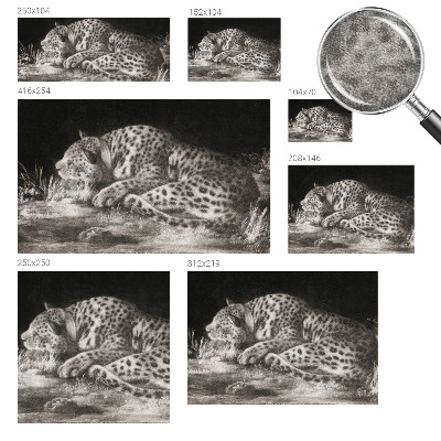 Stilingas fototapetas su leopardo kailio raštu